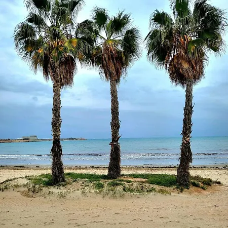 Antonio With Sea View,torrevieja,50 M From Playa Acequion Swimming Pool *