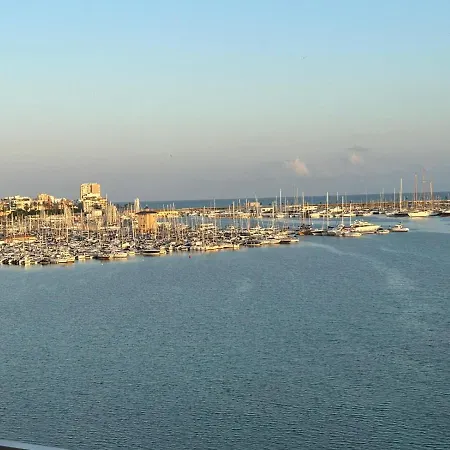 Antonio With Sea View,torrevieja,50 M From Playa Acequion Swimming Pool