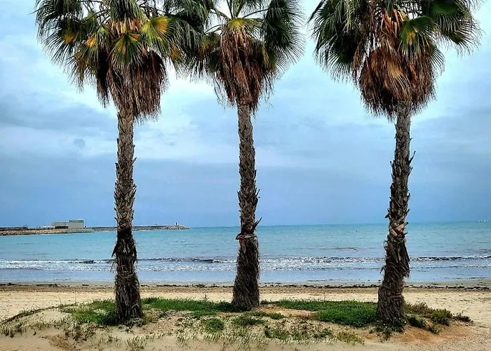 Antonio With Sea View,torrevieja,50 M From Playa Acequion Swimming Pool *