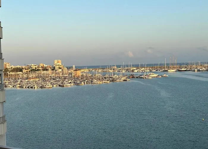 Antonio With Sea View,torrevieja,50 M From Playa Acequion Swimming Pool